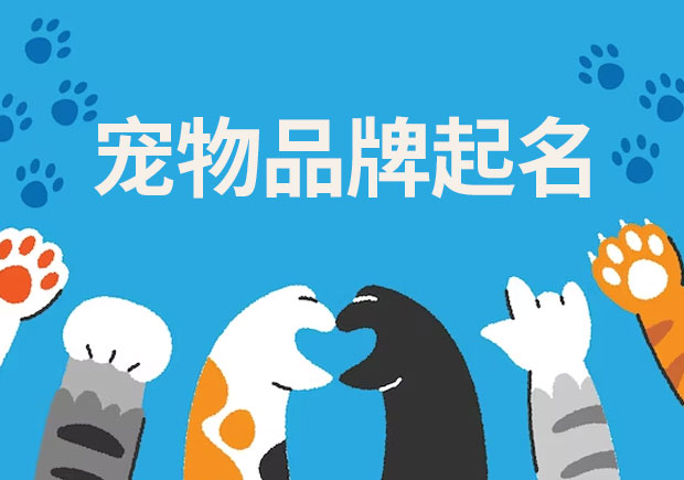 探索寵物品牌起名的奧秘：技巧、來(lái)歷與差異