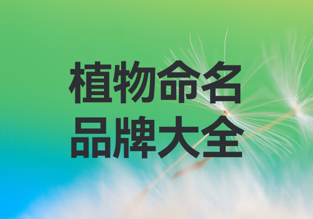 以植物命名的品牌有哪些？