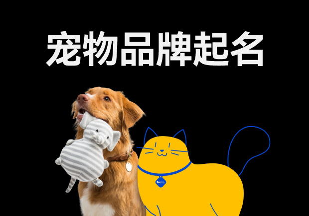 寵物品牌起名怎么?。汉妹质莿?chuàng)意與市場的完美融合